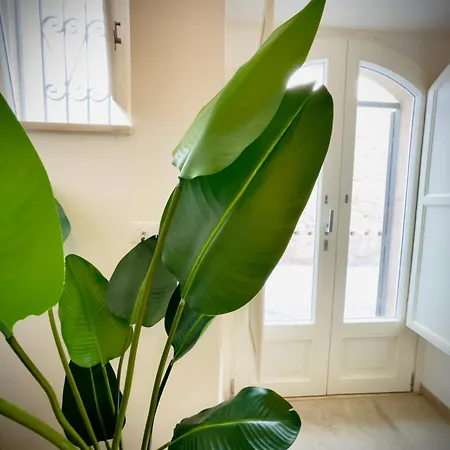 بيت للعطل Ortigia House Salomone